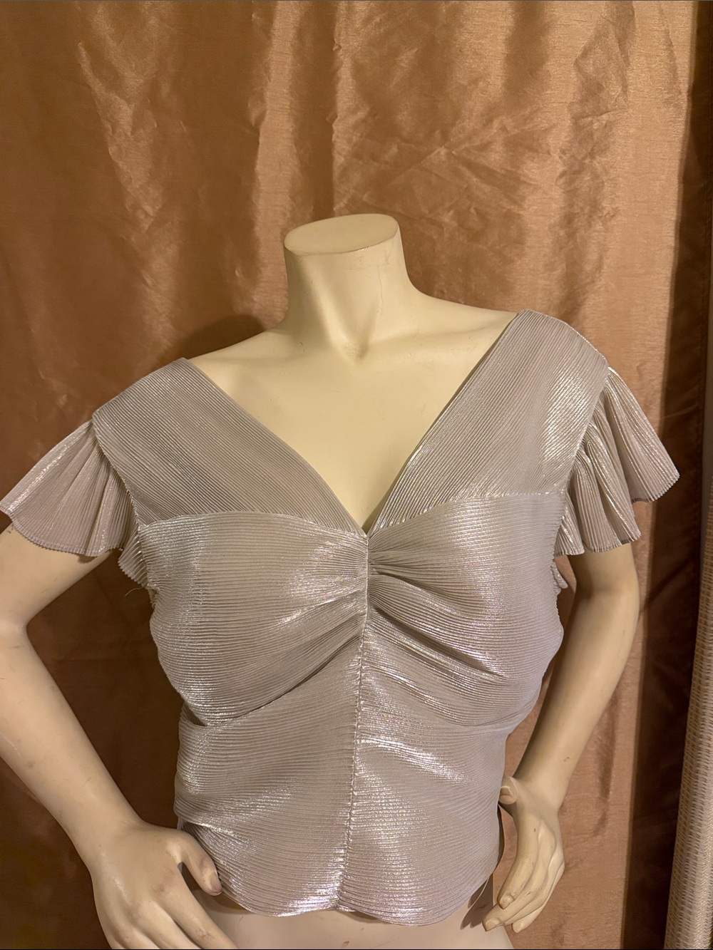 Express Shimmery Taupe V-Neck Ruched Short Sleeve Top